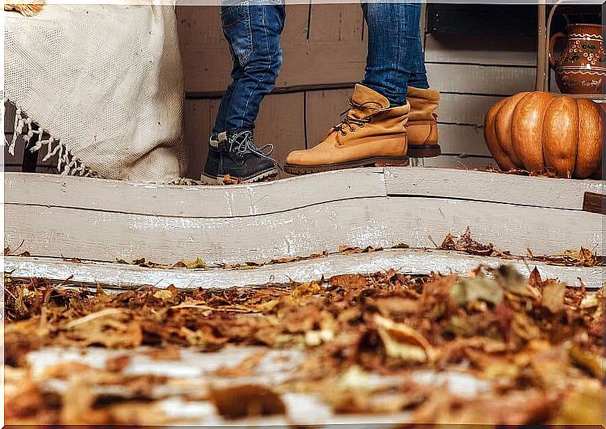 6 Easy and Inexpensive Ideas to Decorate Your Home in Autumn