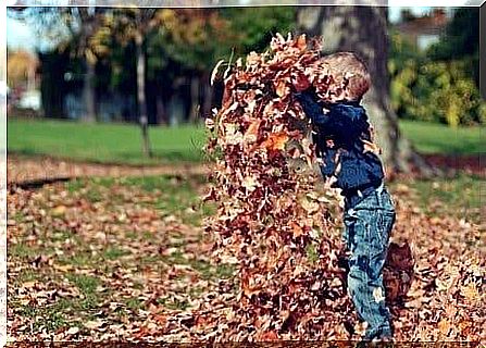 decorate the house in autumn