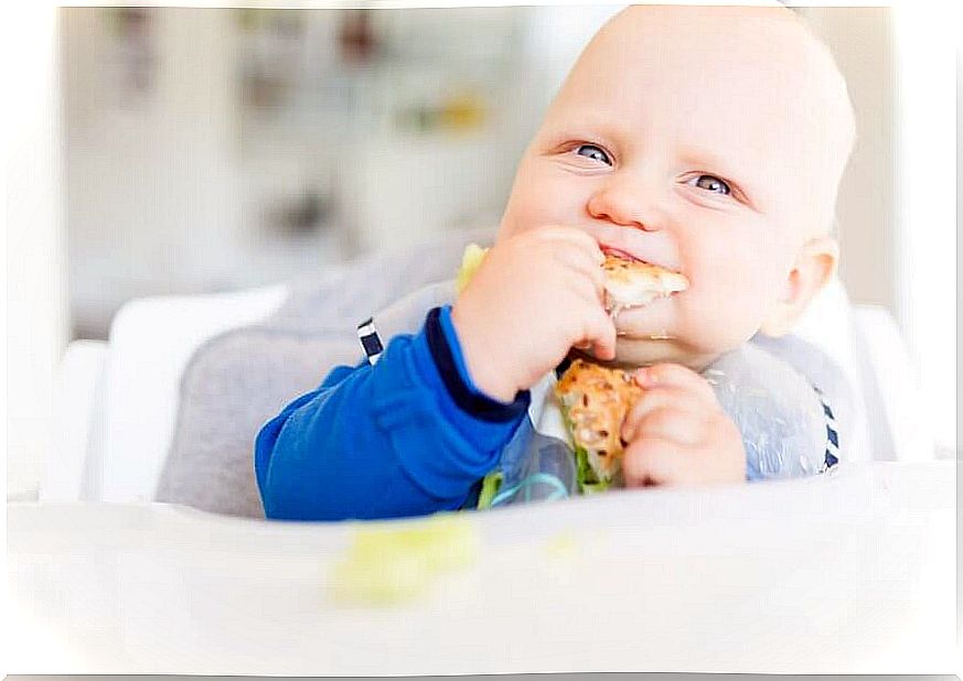 Baby-led weaning: do you know the technique?