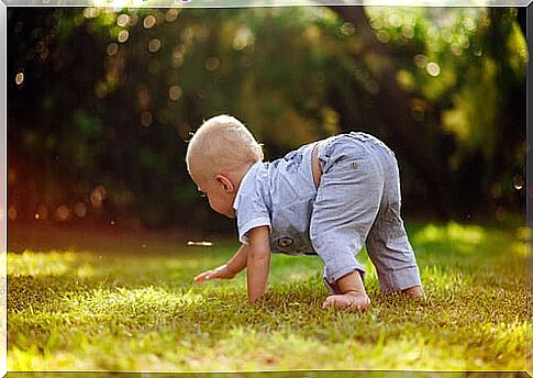 Crawling phase: child crawls on the grass