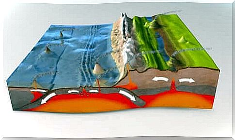 Abstract on Plate Tectonics for Children