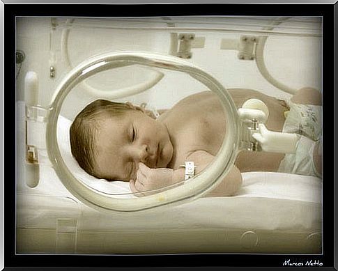 What special care does a premature baby need?